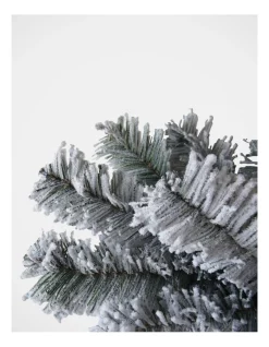 Wholesale β€οΈ Myer Giftorium Flocked Arrow Pine π Christmas Tree 240cm π₯ 7 Wholesale β€οΈ Myer Giftorium Flocked Arrow Pine π Christmas Tree 240cm π₯ -The Christmas Shop Sales unnamed file 11