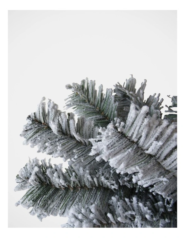 Wholesale β€οΈ Myer Giftorium Flocked Arrow Pine π Christmas Tree 240cm π₯ 5 Wholesale β€οΈ Myer Giftorium Flocked Arrow Pine π Christmas Tree 240cm π₯ - Image 3