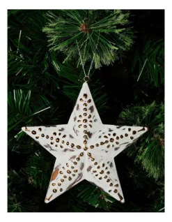 Buy 💯 Australian House & Garden Eucalyptus Metal Star Ornament In White 👍
