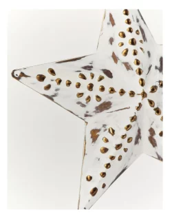 Buy 💯 Australian House & Garden Eucalyptus Metal Star Ornament In White 👍 -The Christmas Shop Sales unnamed file 1135