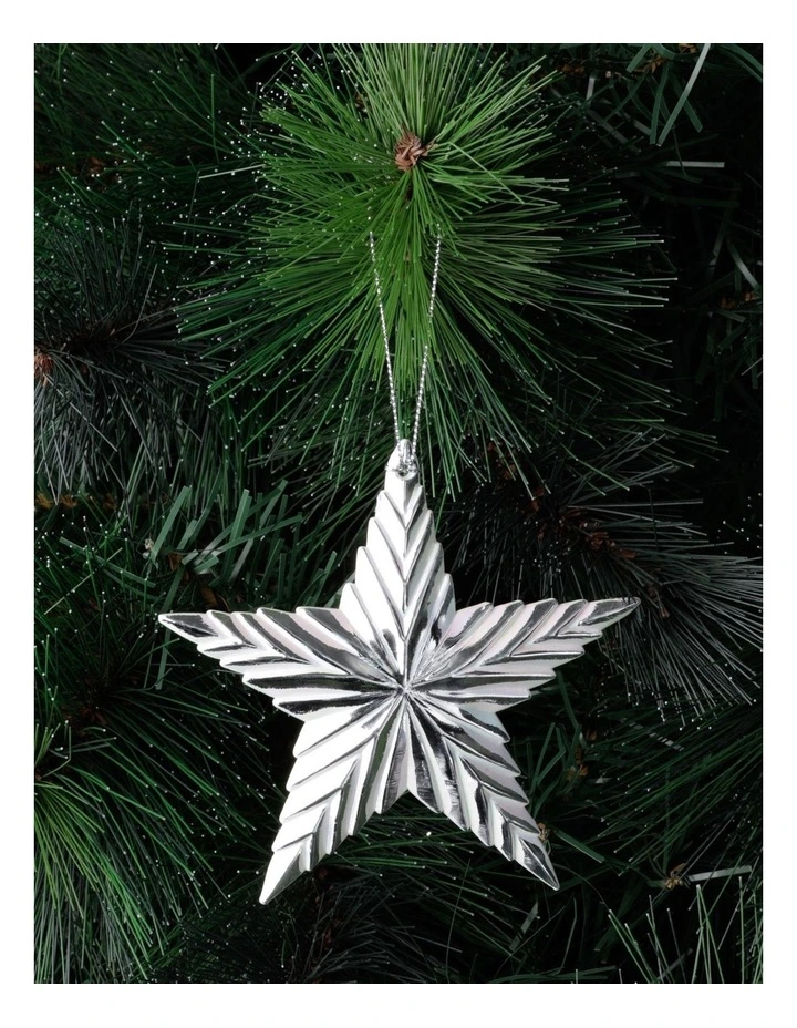 Best Pirce π€© Australian House & Garden Eucalyptus 2A Plastic Ribbed Star OrnamentSilver/White: 11 Cm β¨ 3 Best Pirce π€© Australian House & Garden Eucalyptus 2A Plastic Ribbed Star OrnamentSilver/White: 11 Cm β¨