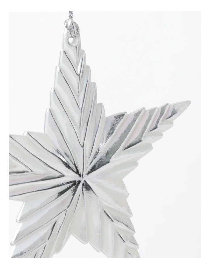 Best Pirce π€© Australian House & Garden Eucalyptus 2A Plastic Ribbed Star OrnamentSilver/White: 11 Cm β¨ 5 Best Pirce π€© Australian House & Garden Eucalyptus 2A Plastic Ribbed Star OrnamentSilver/White: 11 Cm β¨ - Image 3