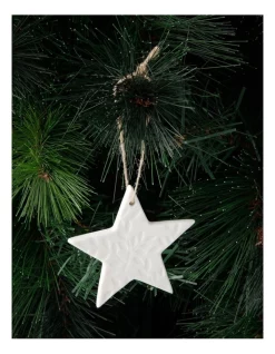 Budget 🛒 Australian House & Garden Eucalyptus Ceramic Embossed Leaf Hanging OrnamentWhite: 8 Cm 🥰 -The Christmas Shop Sales unnamed file 1413