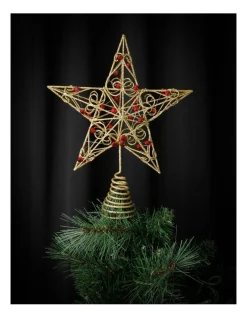 Top 10 😉 Myer Giftorium Heirloom Gold Star Tree Topper With Red Gems ⭐ -The Christmas Shop Sales unnamed file 1655