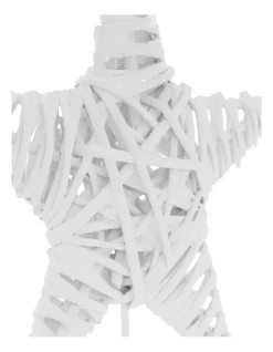 Flash Sale ✨ Australian House & Garden Eucalyptus White Faux Willow Star Tree-Topper ⭐ -The Christmas Shop Sales unnamed file 1660