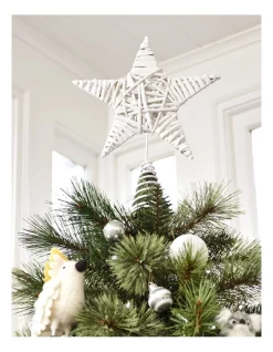 Flash Sale ✨ Australian House & Garden Eucalyptus White Faux Willow Star Tree-Topper ⭐ -The Christmas Shop Sales unnamed file 1662