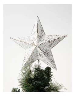 Wholesale ✨ Australian House & Garden Eucalyptus Whitewashed Metal Star Tree Topper In White 🧨 -The Christmas Shop Sales unnamed file 1684