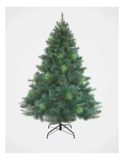 Budget 🥰 Myer Giftorium Deluxe Reno Pine Tree 210cm ⌛