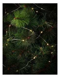 Wholesale π Myer Giftorium 100L Copper Wire B/O Fairy Lights: 1m π§¨