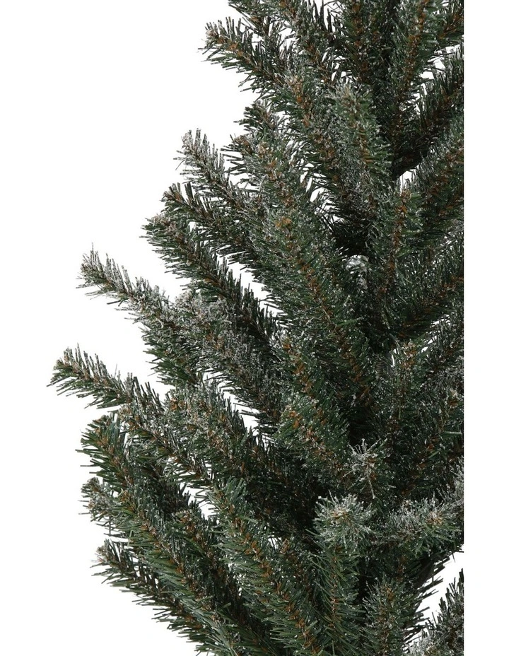 Wholesale β Australian House & Garden Eucalyptus Table Top Tree In Hessian Pot π 4 Wholesale β Australian House & Garden Eucalyptus Table Top Tree In Hessian Pot π - Image 2