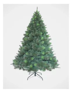 Best Pirce 🥰 Myer Giftorium Deluxe Reno Pine Tree 240cm 👏