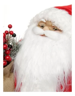 Cheapest 🌟 Myer Giftorium Heirloom Balthazar Fabric Santa With Foliage Sack 🔔 -The Christmas Shop Sales unnamed file 253