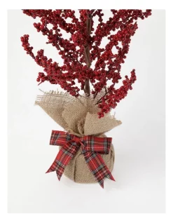 New ⌛ Myer Giftorium Heirloom Berry Spray Tree 70cm In Red 🌟 -The Christmas Shop Sales unnamed file 282