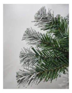 Cheap 👏 Myer Giftorium Colorado 210 Cm Flocked Tip 250L Pre-lit 🎄 Christmas Tree 955 Tips ✨ -The Christmas Shop Sales unnamed file 31