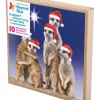 Wholesale 🔥 Simson Beyond Blue Charity 🎁 Christmas Boxed Cards, Night Meerkats 10 Pack ✨