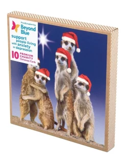 Wholesale π₯ Simson Beyond Blue Charity π Christmas Boxed Cards, Night Meerkats 10 Pack β¨