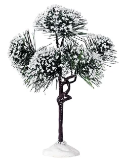 Coupon 😉 Lemax Mountain Pine, Medium 🔥