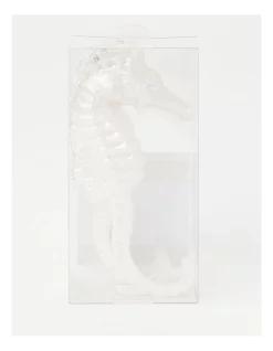 Best Pirce 💯 Myer Giftorium Luxe Acrylic Pearlised Seahorse Ornament 3 Pack In White 🤩 -The Christmas Shop Sales unnamed file 576