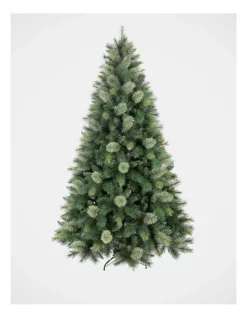 Budget 🌟 Myer Giftorium New Oregon Cashmere Pine 🎅 Christmas Tree 210cm 🎁