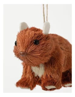 Best reviews of 🎉 Australian House & Garden Eucalyptus Sisal Wombat Hanging Ornament 10 Cm In Brown ⌛ -The Christmas Shop Sales unnamed file 715