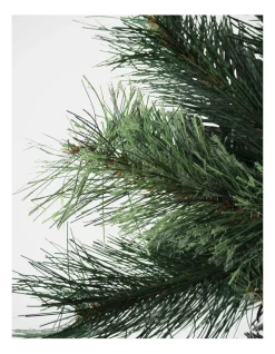 Budget 🌟 Myer Giftorium New Oregon Cashmere Pine 🎅 Christmas Tree 210cm 🎁 -The Christmas Shop Sales unnamed file 8