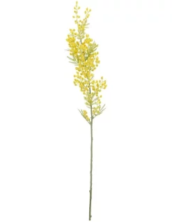 Flash Sale 🌟 Australian House & Garden Eucalyptus Faux Yellow Wattle Pick 💯