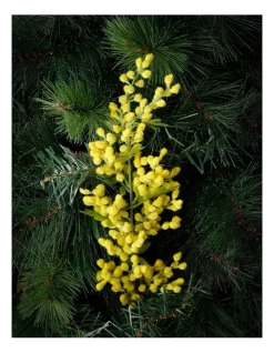Flash Sale 🌟 Australian House & Garden Eucalyptus Faux Yellow Wattle Pick 💯 -The Christmas Shop Sales unnamed file 877