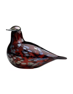 Best reviews of 🔥 IITTALA Oiva Toikkas Ruby Bird 12.5cm Glass Ornament Cranberry Red 🛒